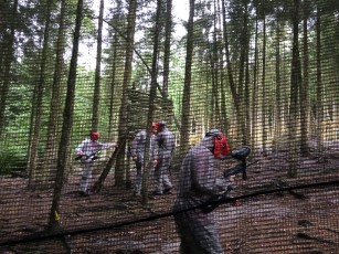 Sint-Martinus den XIIde - Kamp Nivezé VK